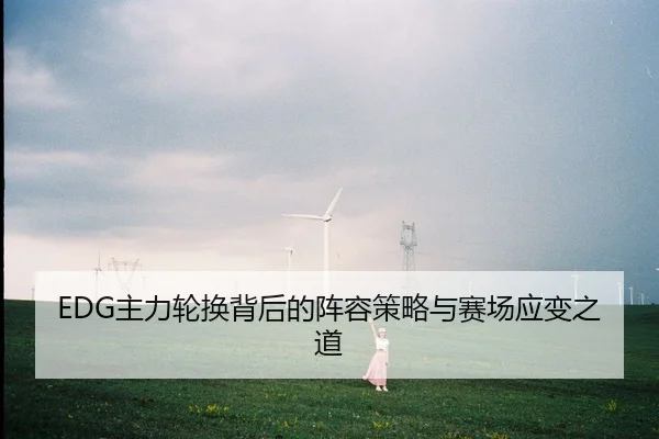 EDG主力轮换背后的阵容策略与赛场应变之道