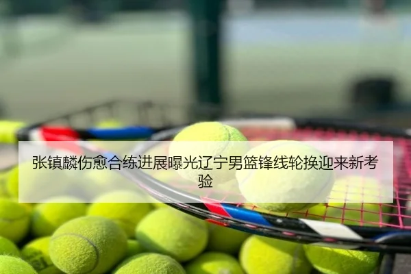张镇麟伤愈合练进展曝光辽宁男篮锋线轮换迎来新考验