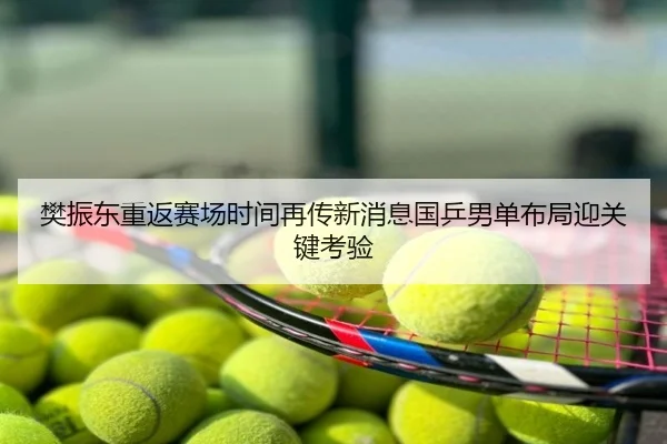 樊振东重返赛场时间再传新消息国乒男单布局迎关键考验